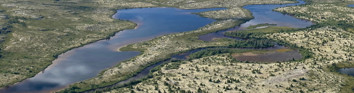 Recensement de l'environnement : couverture terrestre, 2020 